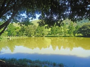 recanto boa vista 15